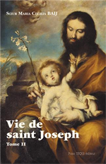 Vie de saint Joseph - Tome 2 Du séjour en Égypte à la mort de Joseph