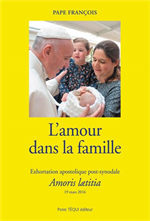 La joie de l'Amour - Exhortation apostolique sur l'amour dans la famille