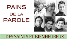 Pains de la parole des Saints (Boîte de 360 paroles)