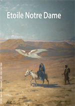 Bulletin n°359 - Mars 2026