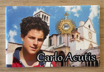 Magnet en bois de Carlo Acutis