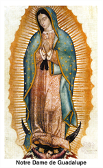 Poster Notre Dame de Guadalupe 16x25 cm