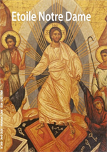 Bulletin n°360 - Avril 2026