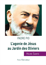 L'agonie de jésus au jardin des Oliviers - Heure Sainte