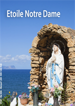 Bulletin n°361 - Mai 2026
