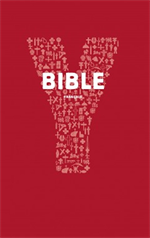 Youcat Bible (Couverture abimée)*