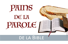 Pains de la parole de la Bible (Boîte de 360 paroles)