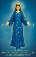 Image avec la neuvaine de l'Immaculée Conception 2025