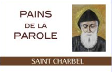 Pains de la parole de saint Charbel (Boîte de 360 paroles)