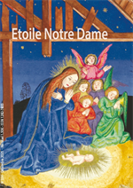 Bulletin n°356 - Décembre 2025