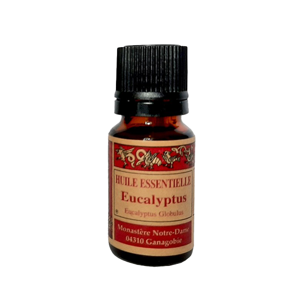 Huile essentielle Eucalyptus